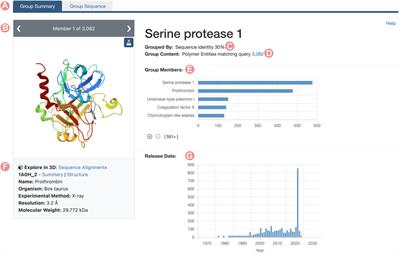RCSB Protein Data Bank: visualizing groups of experimentally determined PDB structures alongside computed structure models of proteins